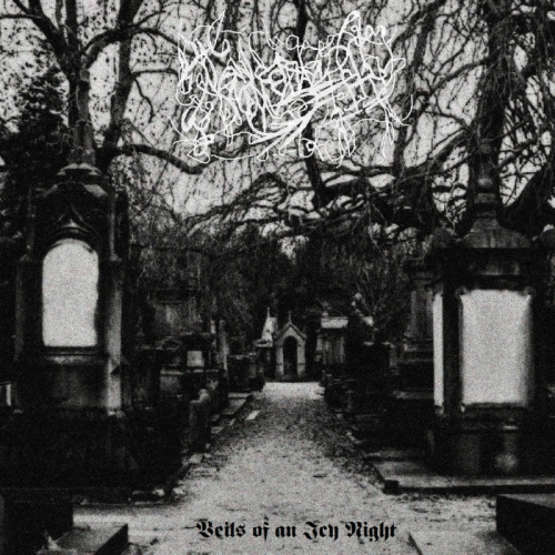 Veils of an Icy Night